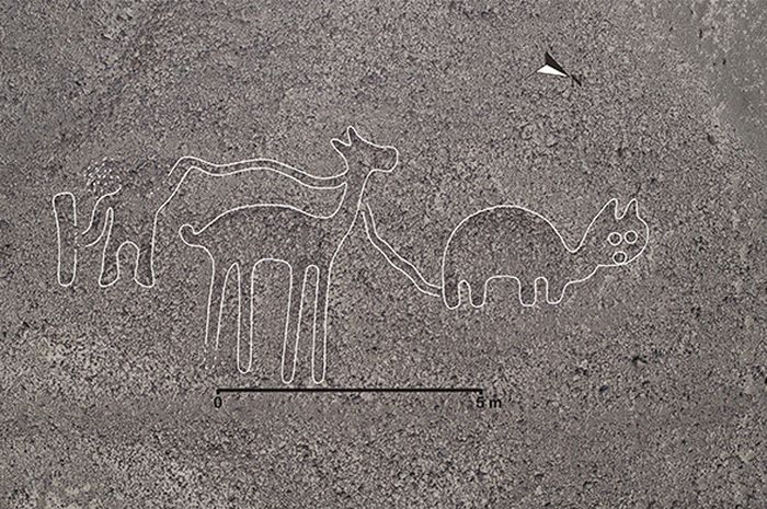 Nazca Line, Garis Raksasa di Peru Yang Diyakini Pesan untuk Alien