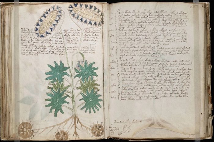 Peneliti Bristol Sukses Pecahkan Kode Naskah Kuno 'Manuskrip Voynich'