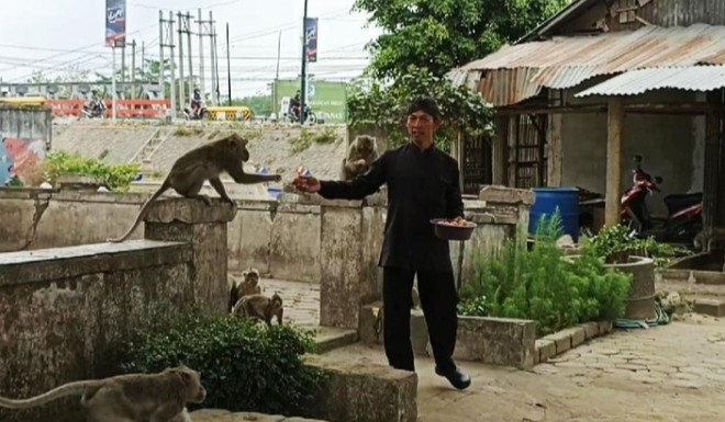 Penampakan Monyet yang Disebut Jelmaan Pesugihan di TPU Ngujang Tulungagung