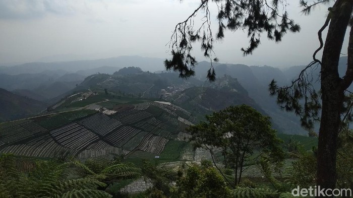 Mitos Siluman Gagak di Balik Keindahan Bukit Mercury