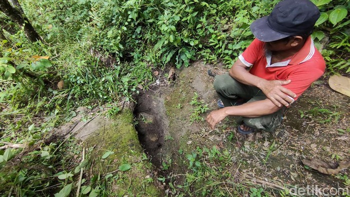 Hutan Angker Gunungkidul Punya Mata Air Berbentuk Kelopak Mata