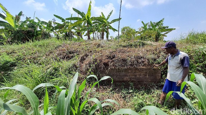 Dipercaya Angker, Kebun Pisang di Mojokerto Ini Ternyata Situs Purbakala